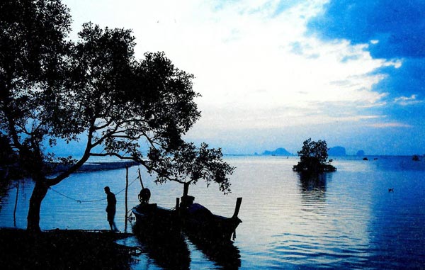 เกาะกลาง เกาะกลาง