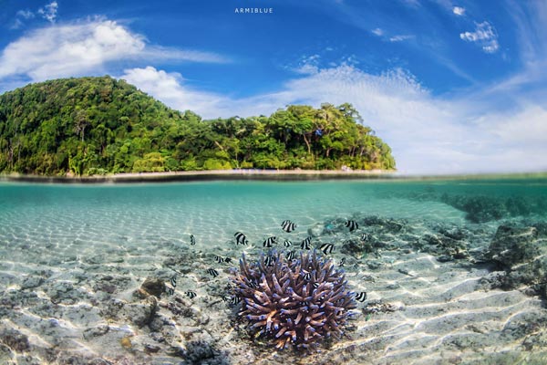 หมู่เกาะสุรินทร์ หมู่เกาะสุรินทร์