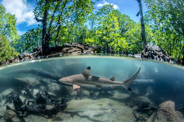 หมู่เกาะสุรินทร์ หมู่เกาะสุรินทร์