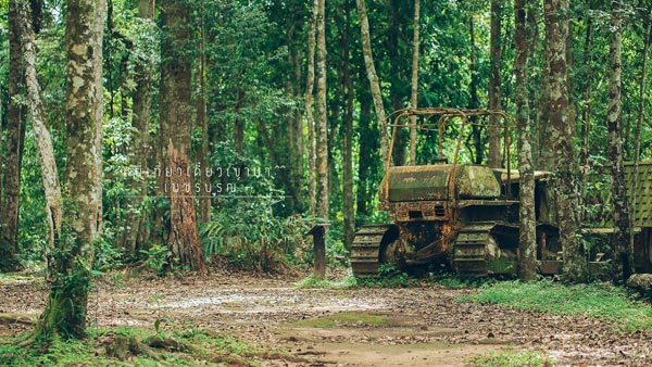 ภูทับเบิก ภูทับเบิก