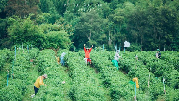 ภูทับเบิก ภูทับเบิก