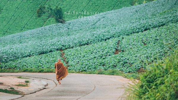ภูทับเบิก ภูทับเบิก