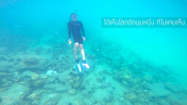 ท่องเที่ยว ท่องเที่ยว