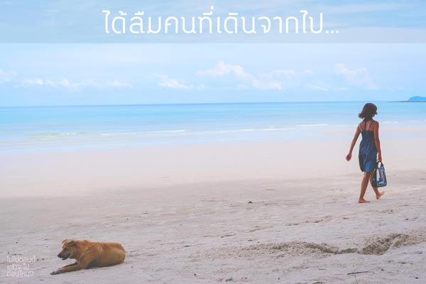 ท่องเที่ยว ท่องเที่ยว