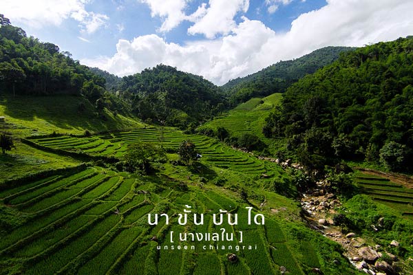 นาขั้นบันไดนางแลใน นาขั้นบันไดนางแลใน