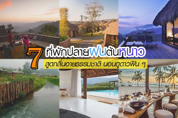 ที่พักปลายฝนต้นหนาว ที่พักปลายฝนต้นหนาว