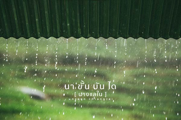 นาขั้นบันไดนางแลใน นาขั้นบันไดนางแลใน