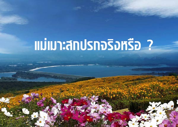 แม่เมาะ แม่เมาะ