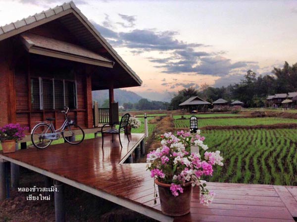 ที่พักปลายฝนต้นหนาว ที่พักปลายฝนต้นหนาว