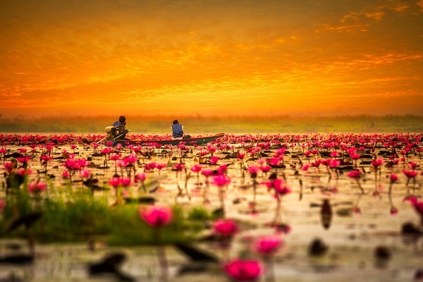 ที่เที่ยวปีใหม่ ที่เที่ยวปีใหม่