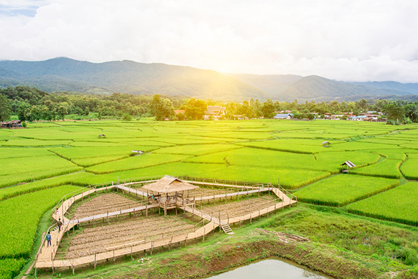 ที่เที่ยวปีใหม่ ที่เที่ยวปีใหม่
