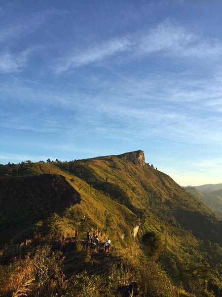 ภูฟ้าไทย เชียงราย ภูฟ้าไทย เชียงราย