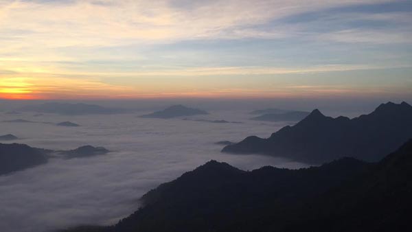 ภูฟ้าไทย เชียงราย ภูฟ้าไทย เชียงราย