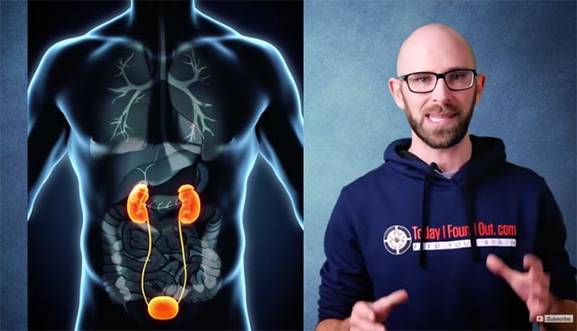 ปัญหาอวัยวะเพศชาย ปัญหาอวัยวะเพศชาย