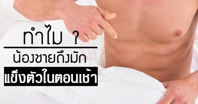 การแข็งตัวของอวัยวะเพศชาย การแข็งตัวของอวัยวะเพศชาย