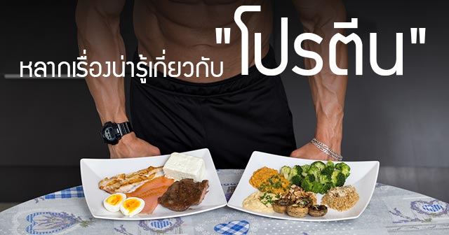 กินโปรตีน กินโปรตีน