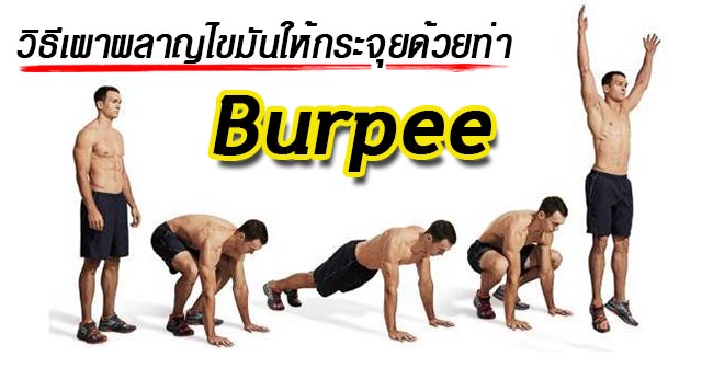 Burpee Burpee