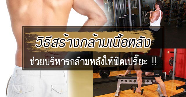 วิธีสร้างกล้ามเนื้อหลัง วิธีสร้างกล้ามเนื้อหลัง