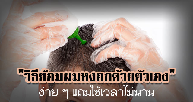 ย้อมผมหงอกด้วยตัวเอง ย้อมผมหงอกด้วยตัวเอง