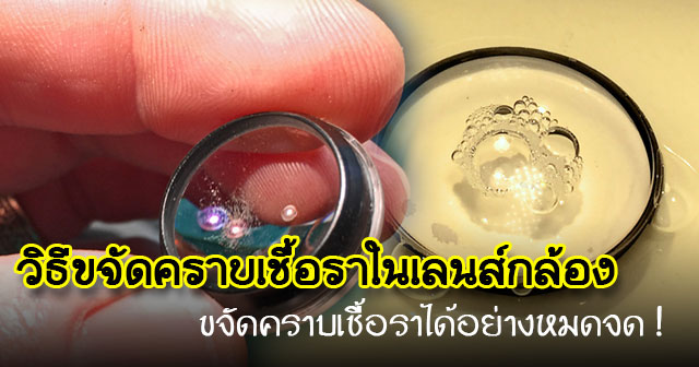 วิธีขจัดคราบเชื้อราในเลนส์กล้อง วิธีขจัดคราบเชื้อราในเลนส์กล้อง