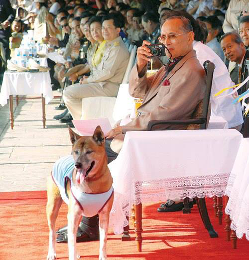 พระบาทสมเด็จพระเจ้าอยู่หัว พระบาทสมเด็จพระเจ้าอยู่หัว