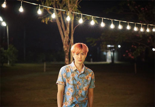 แฟชั่นเสื้อฮาวาย แฟชั่นเสื้อฮาวาย