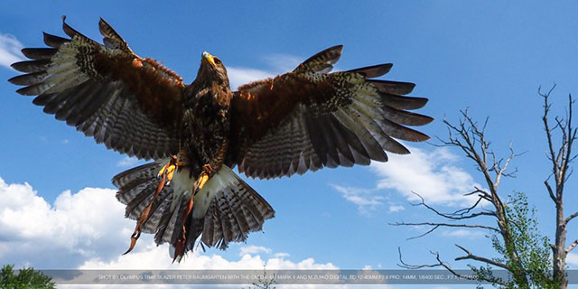 Olympus OM-D E-M1 Mark II Olympus OM-D E-M1 Mark II