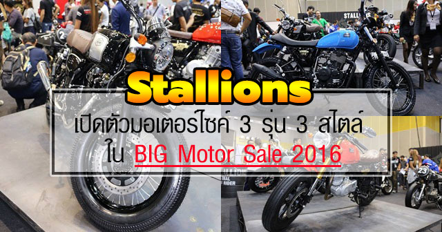 Stallions Stallions