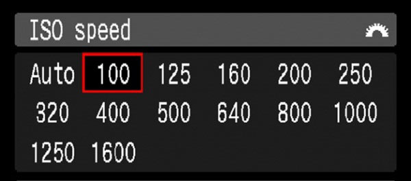 ISO ISO