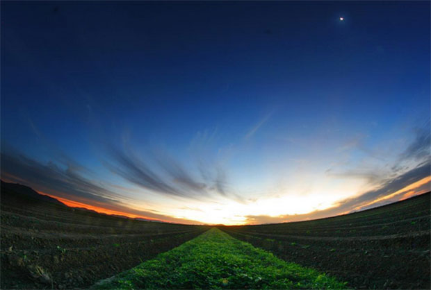 เลนส์ fisheye เลนส์ fisheye