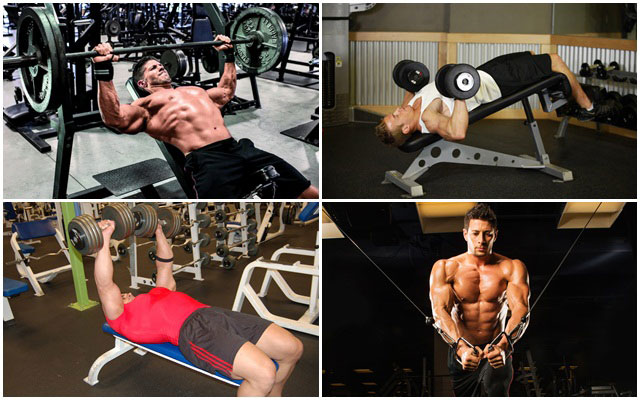 วิธีสร้างกล้ามอก วิธีสร้างกล้ามอก