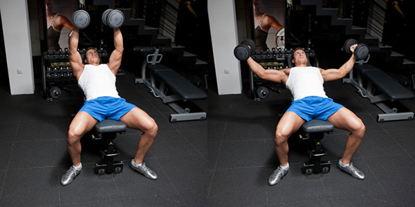 วิธีสร้างกล้ามอก วิธีสร้างกล้ามอก