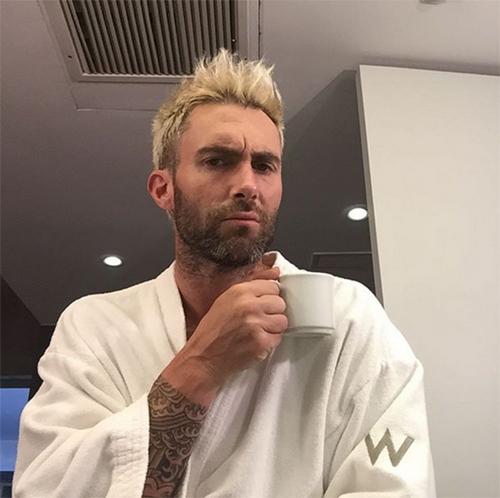 อดัม เลอวีน อดัม เลอวีน