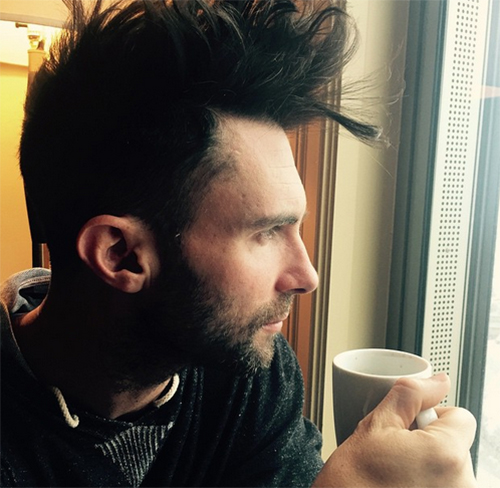 อดัม เลอวีน อดัม เลอวีน