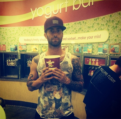 อดัม เลอวีน อดัม เลอวีน