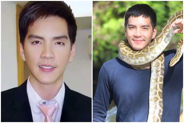 ดาราชายศัลยกรรม ดาราชายศัลยกรรม