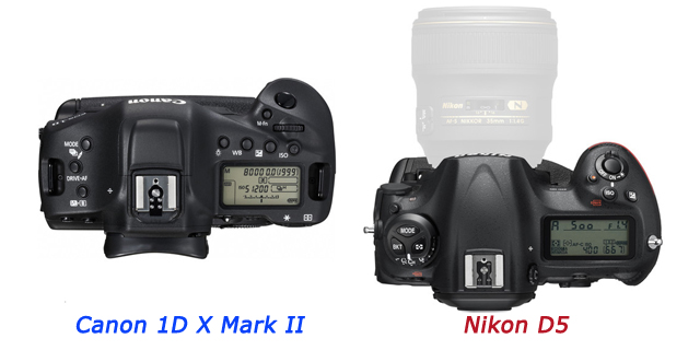 Canon 1D X Mark II, Nikon D5 Canon 1D X Mark II, Nikon D5
