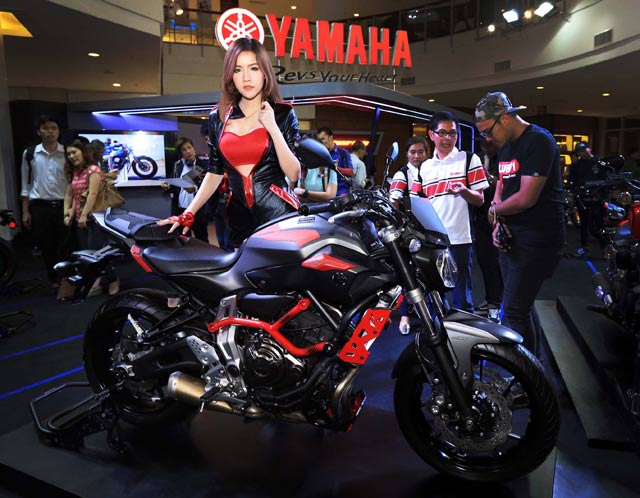 Yamaha MT-07 Moto Cage Yamaha MT-07 Moto Cage