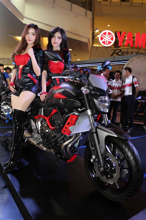 Yamaha MT-07 Moto Cage Yamaha MT-07 Moto Cage
