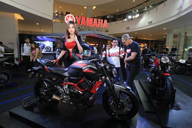 Yamaha MT-07 Moto Cage Yamaha MT-07 Moto Cage