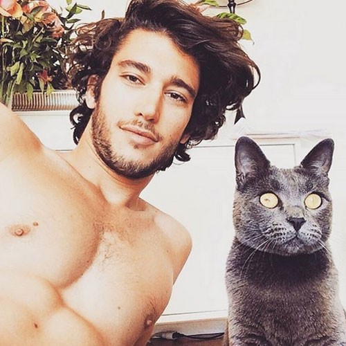 หนุ่มหล่อกับแมว หนุ่มหล่อกับแมว