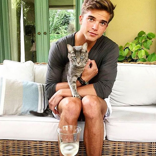 หนุ่มหล่อกับแมว หนุ่มหล่อกับแมว