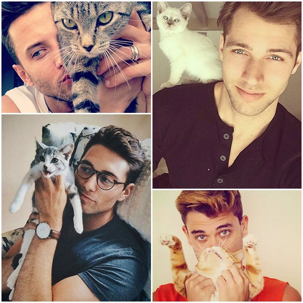 หนุ่มหล่อกับแมว หนุ่มหล่อกับแมว