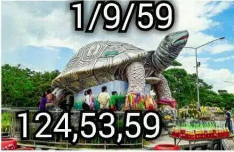 หวยพญาเต่างอยงวดนี้ 1 ก.ย. 59 หวยพญาเต่างอยงวดนี้ 1 ก.ย. 59
