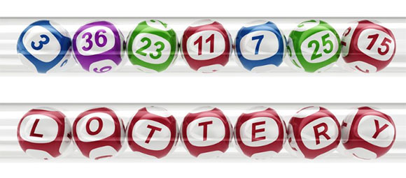 17 มกราคม 2559 17 มกราคม 2559
