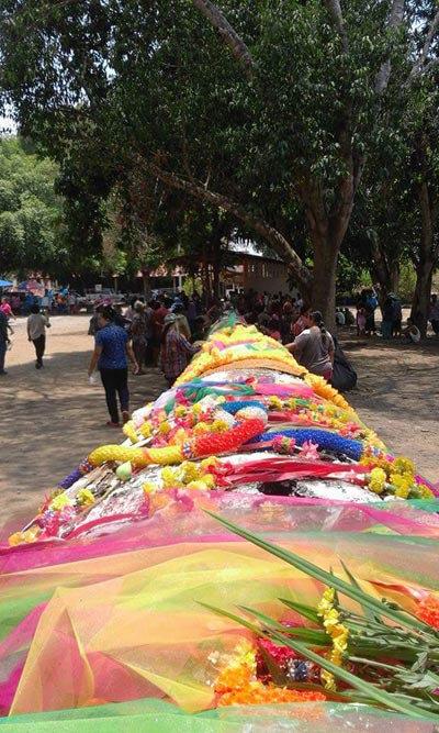พบตะเคียนยักษ์อายุกว่า 200 ปี จมแม่น้ำยม คนแห่ขอโชคลาภ พบตะเคียนยักษ์อายุกว่า 200 ปี จมแม่น้ำยม คนแห่ขอโชคลาภ