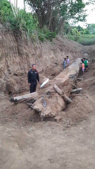 พบตะเคียนยักษ์อายุกว่า 200 ปี จมแม่น้ำยม คนแห่ขอโชคลาภ พบตะเคียนยักษ์อายุกว่า 200 ปี จมแม่น้ำยม คนแห่ขอโชคลาภ