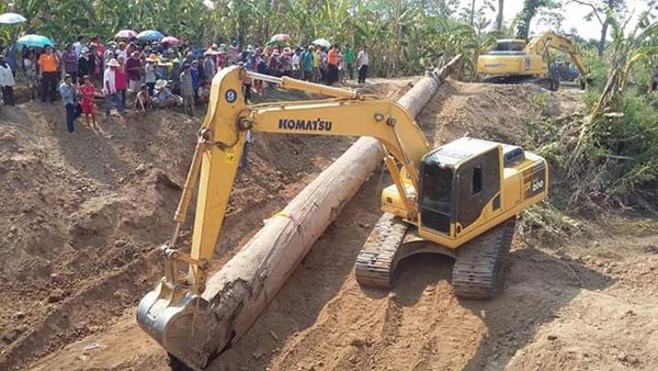 พบตะเคียนยักษ์อายุกว่า 200 ปี จมแม่น้ำยม คนแห่ขอโชคลาภ พบตะเคียนยักษ์อายุกว่า 200 ปี จมแม่น้ำยม คนแห่ขอโชคลาภ