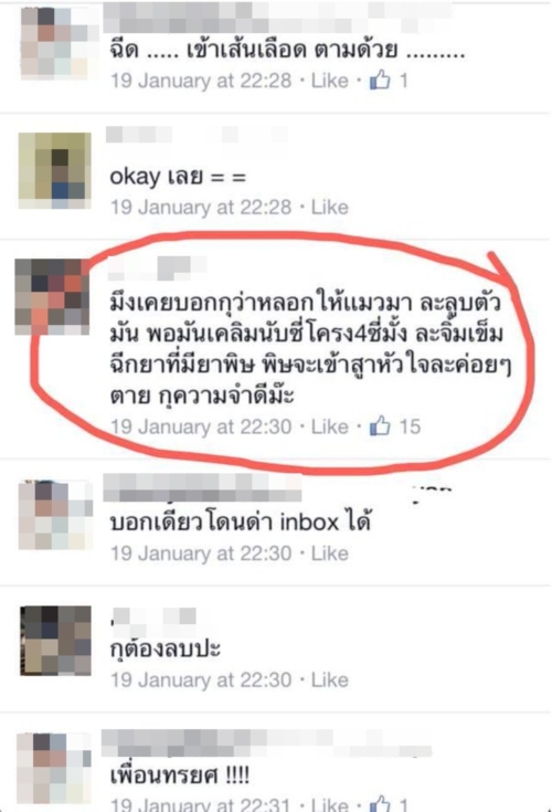 ดราม่าฆ่าแมว ดราม่าฆ่าแมว