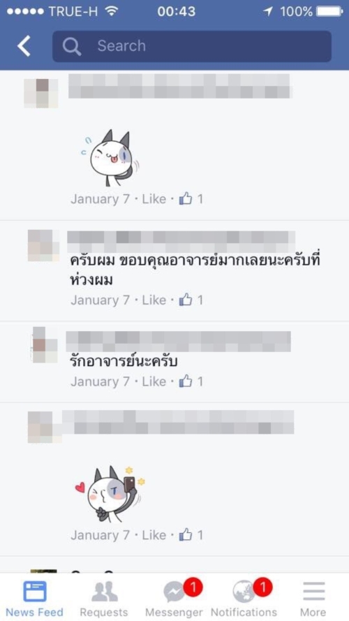 ดราม่าฆ่าแมว ดราม่าฆ่าแมว